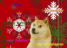 a christmas card with a dog and snowflakes and the words wow muy familiar tan embalgosa