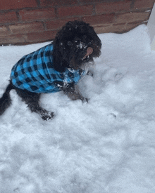 a dog wearing a plaid shirt is sitting in the snow .