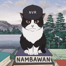 a black and white cat wearing a nvr hat sits on top of a stack of books