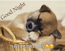 a puppy sleeping in a wicker basket with the words good night sweet dreams