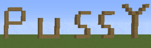 the word pussy is written in wooden blocks on a grassy field