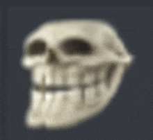 a blurred image of a skull with its mouth open