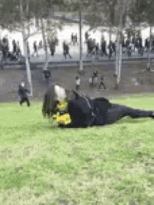 a person is laying on the grass in a park with a group of people walking in the background .