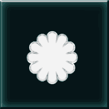 a white flower is on a black background