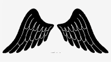 a pair of black angel wings silhouetted against a white background .