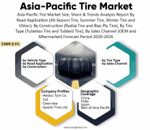 asia-pacific tire market size share & trends analysis report by road application all season tire summer tire winter tire and other by construction radial tire and bias ply tire