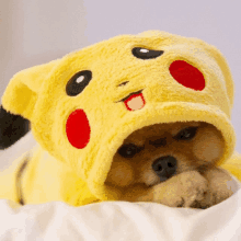 a small dog wearing a pikachu costume with its tongue sticking out