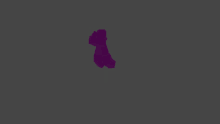 a purple silhouette on a grey background