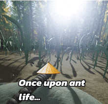 a screenshot of a video game with the words once upon ant life at the bottom