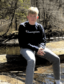 a young boy is sitting on a log wearing a champion sweatshirt