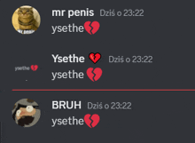 a screenshot of a conversation between mr penis and ysetehe