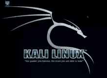 a computer screen with a kali linux logo