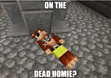 a minecraft character is laying on the ground with the words on the dead homies