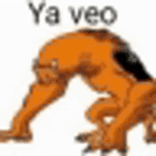 a cartoon cat is doing a handstand with the words `` ya veo '' written above it .