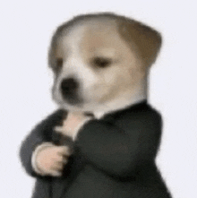 a dog wearing a suit and tie is standing with its arms crossed .