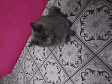 a gray cat with yellow eyes is laying on a patterned floor