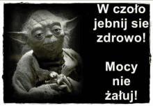 a picture of yoda with the words w czoło jebnij sie zdrowie