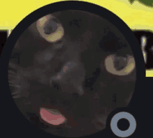 a black cat with a pink tongue sticking out in a circle