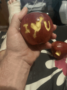 a person holding a red apple with the word i love you carved into it