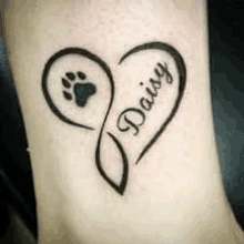 a tattoo of a heart with a paw print and the name daisy on it .