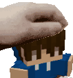 a person is petting a minecraft character 's head with their hand .