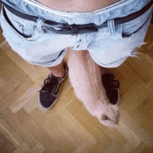 a man in shorts is holding his penis in his hands .