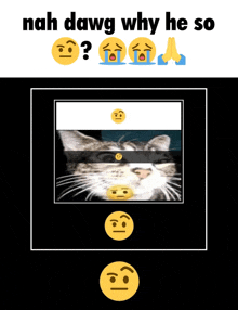 nah dawg why he so with a picture of a cat and smiley faces