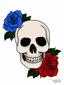 a drawing of a skull surrounded by blue and red roses