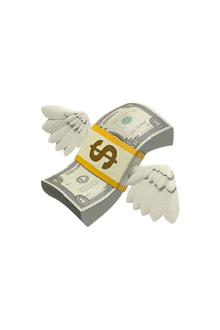 a stack of 20 dollar bills with wings coming out of them