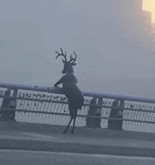 a statue of a deer standing on a bridge with a fence that says ' railway ' on it