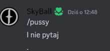 a screenshot of a conversation between skyball and / pussy