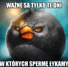 a picture of an angry bird with the words wazne sa tylko te dni