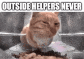a cat is eating food from a bowl with the words `` outside helpers never '' written above it .