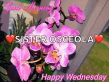 a good morning sister osceola happy wednesday greeting card