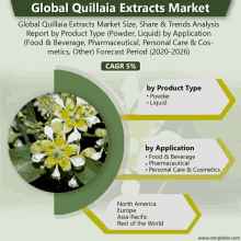 a poster titled global quillaia extracts market with a picture of flowers