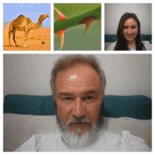 a picture of a camel a picture of a plant a picture of a man with a beard and a picture of a woman