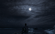 a man sits on a rock near the ocean at night looking at the full moon