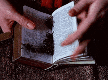 a person is holding an open bible with spiders on it .