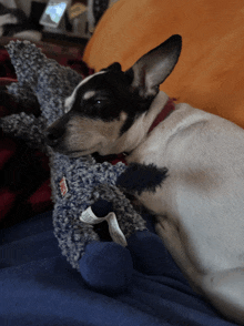 a small dog laying on a bed with a stuffed animal in its mouth