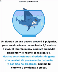 a picture of a shark in a bowl of water with spanish text below it