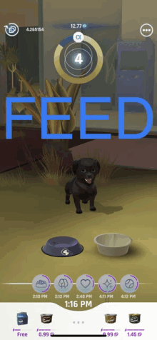 a screenshot of a game that says feed on the bottom