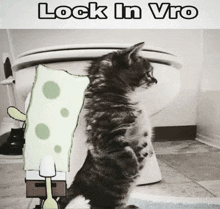 a picture of a cat with spongebob on its back and the words lock in vro above it