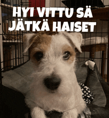 a small brown and white dog in a cage with the words hyvättu sa jatka haiset written above it