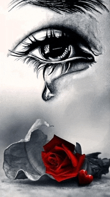 a black and white drawing of a woman crying with a red rose in the foreground