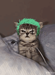 a cat wearing a green hat and a sword is laying on a bed .