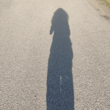 a person 's shadow is cast on the road