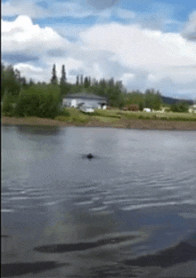 a blurred image of a lake with a house in the background