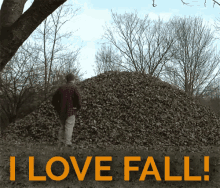 a man standing in front of a pile of leaves with the words " i love fall " below him