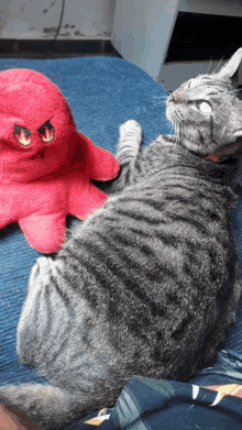 a cat laying next to a stuffed octopus