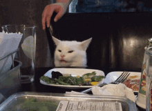 a cat sits at a table with a plate of food and a container of vegetables